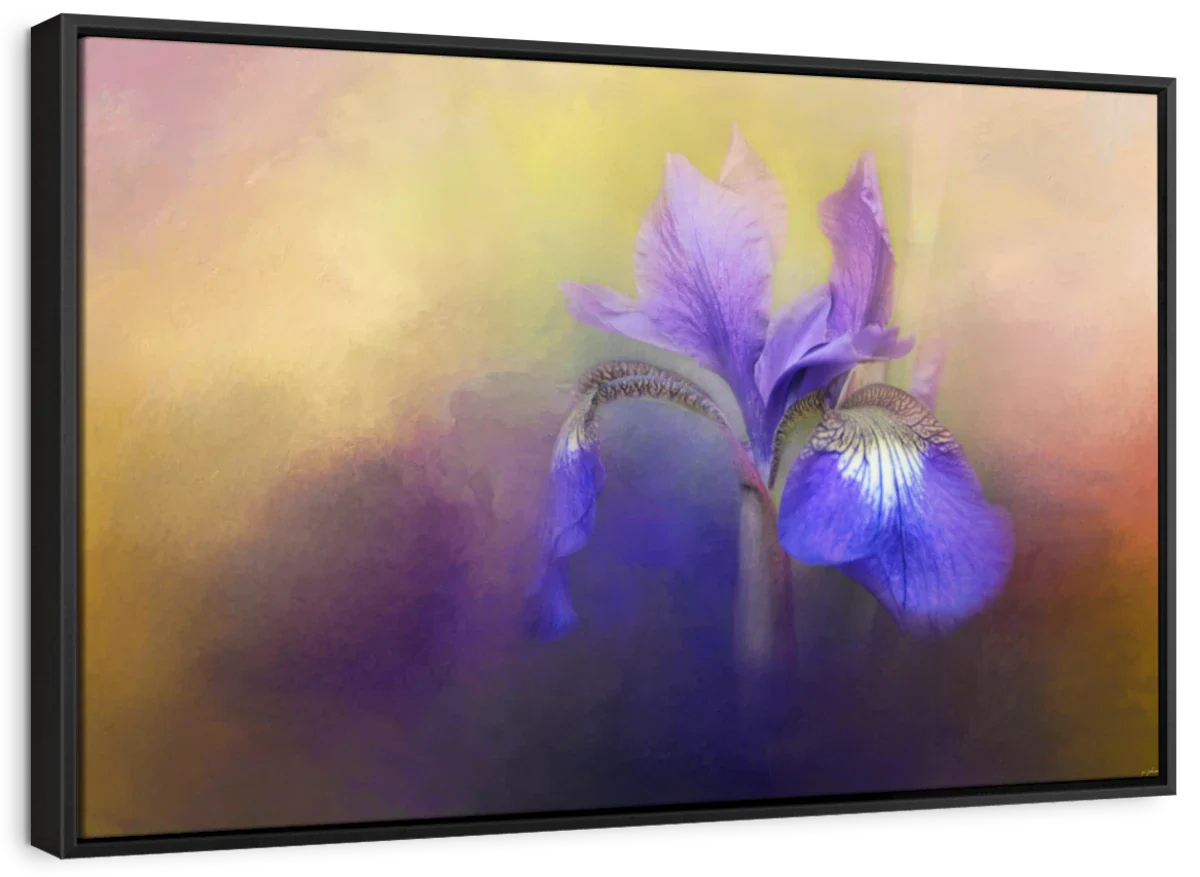 Tiny Iris Wall Art - Image 6