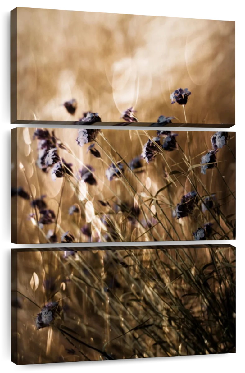 To Be Free In Light Wall Art - Image 8