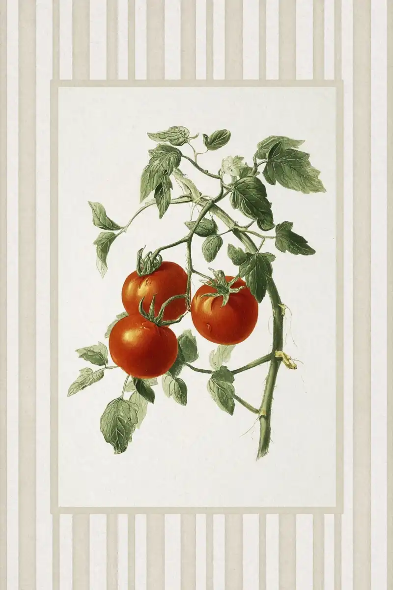 Tomato Vine Print Wall Art - Image 13