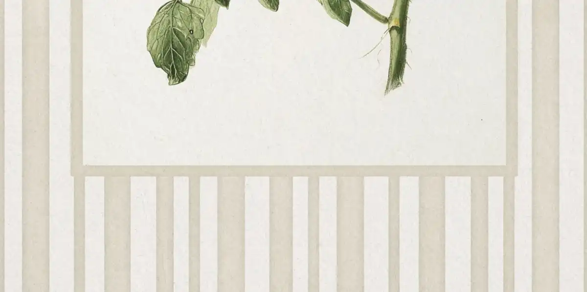 Tomato Vine Print Wall Art - Image 16