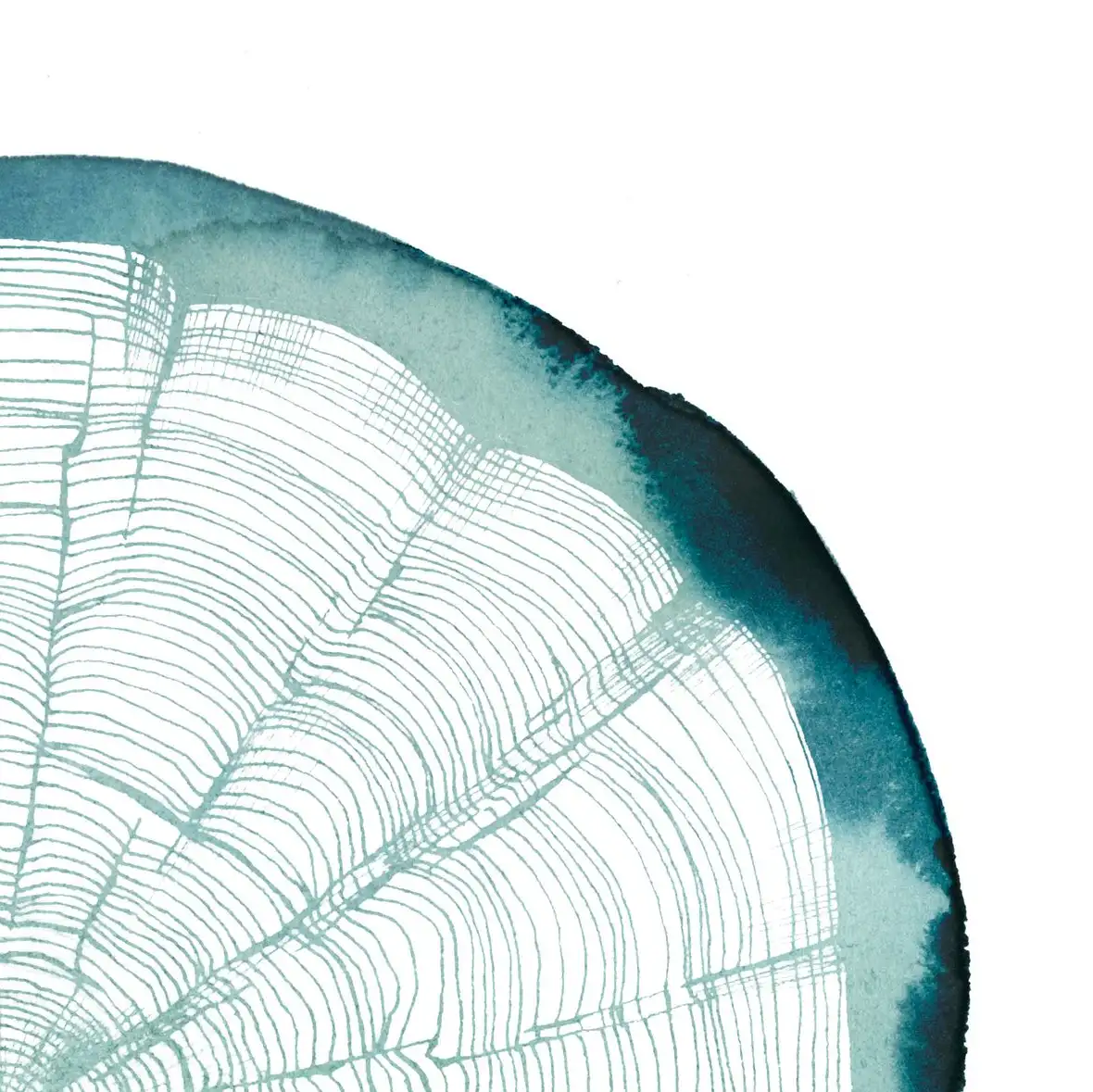 Tree Ring Overlay IV Wall Art - Image 16