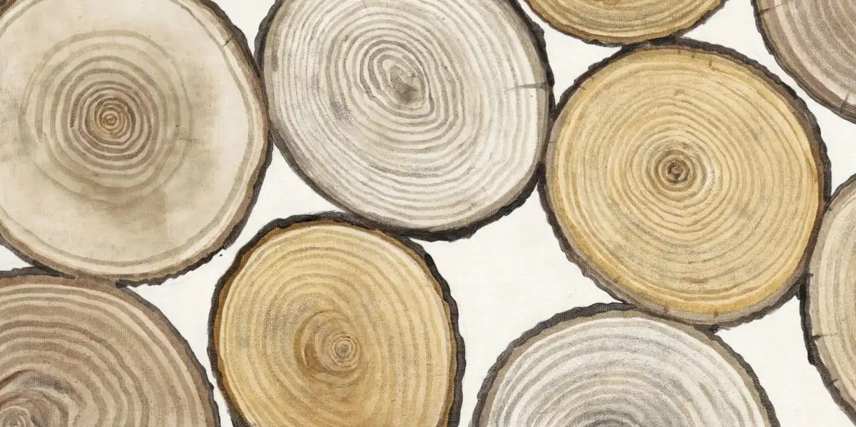 Tree Ring Study Wall Art - Image 16