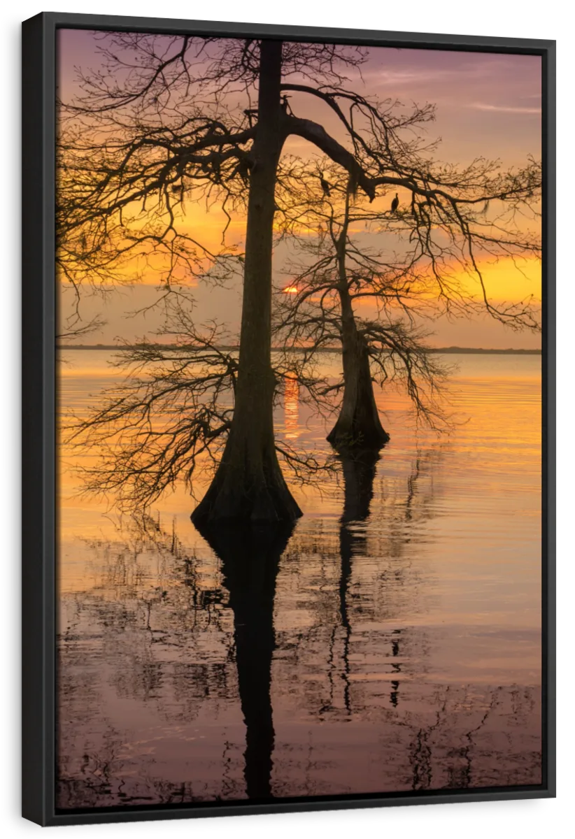Two Trees On Water Wall Art - Image 13