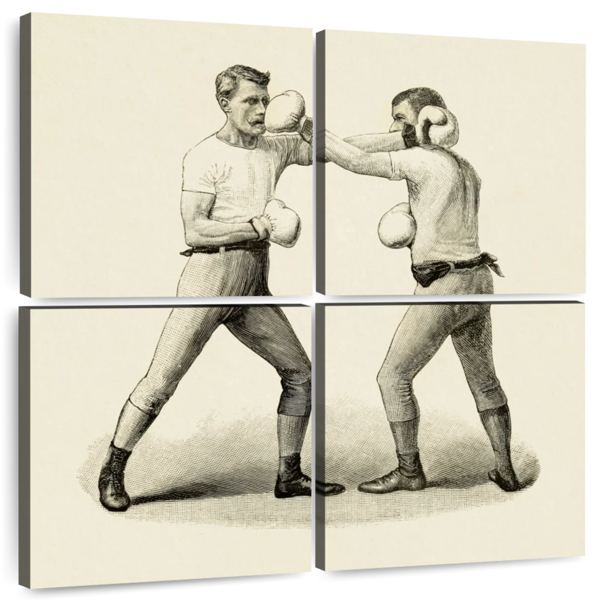 Two Victorian Boxers Wall Art - Image 8