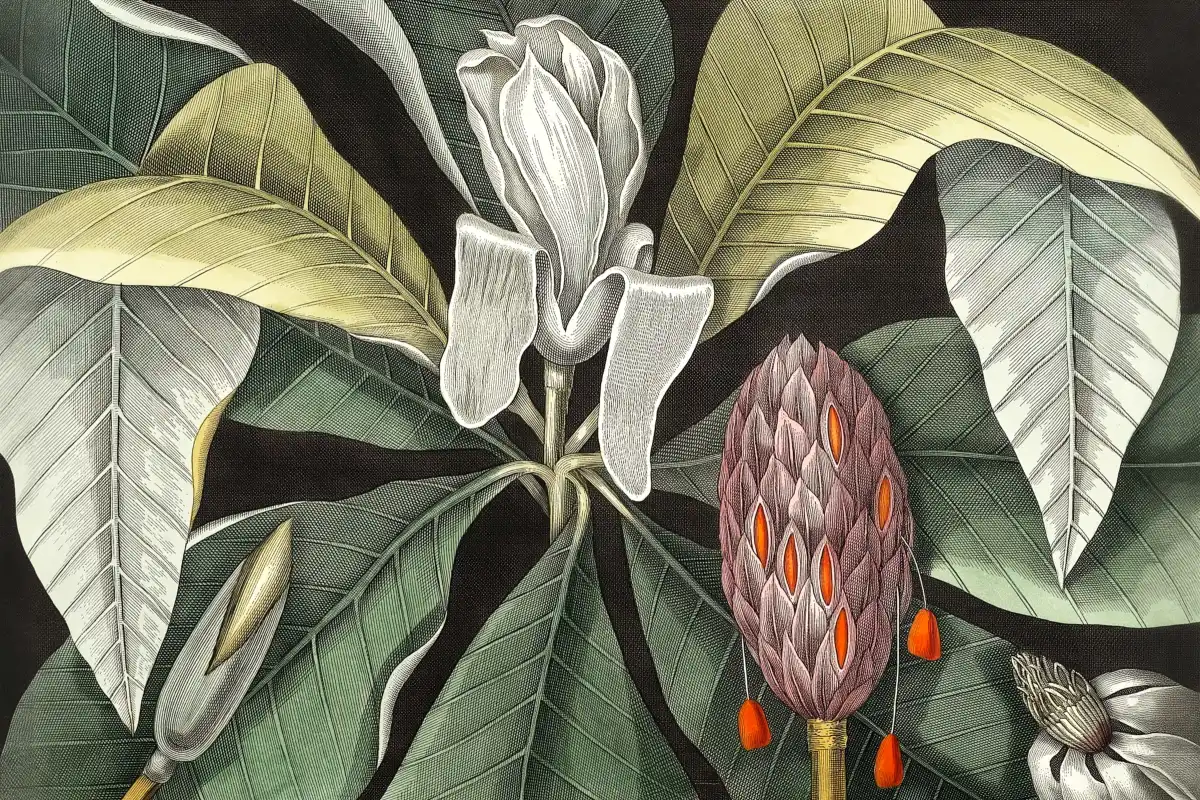 Umbrella Tree Wall Art - Image 15