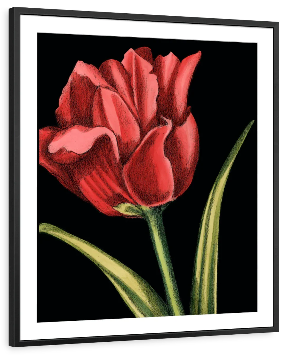 Vibrant Tulips IV Wall Art - Image 7