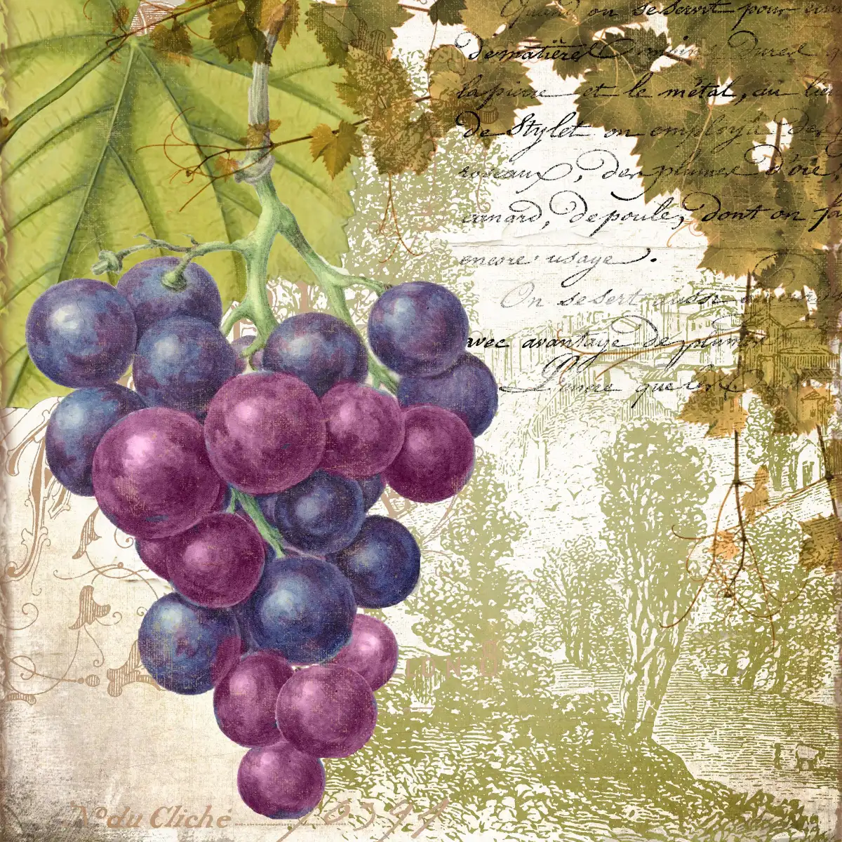 Vigneto Wall Art - Image 13