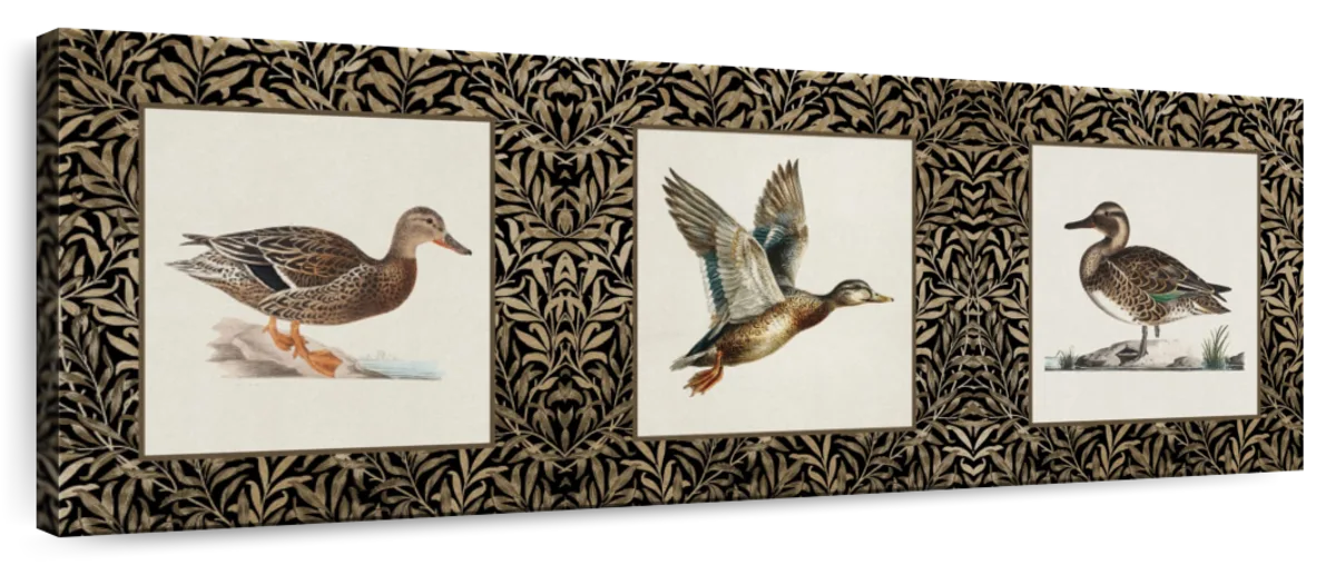 Vintage Duck Triptych Wall Art