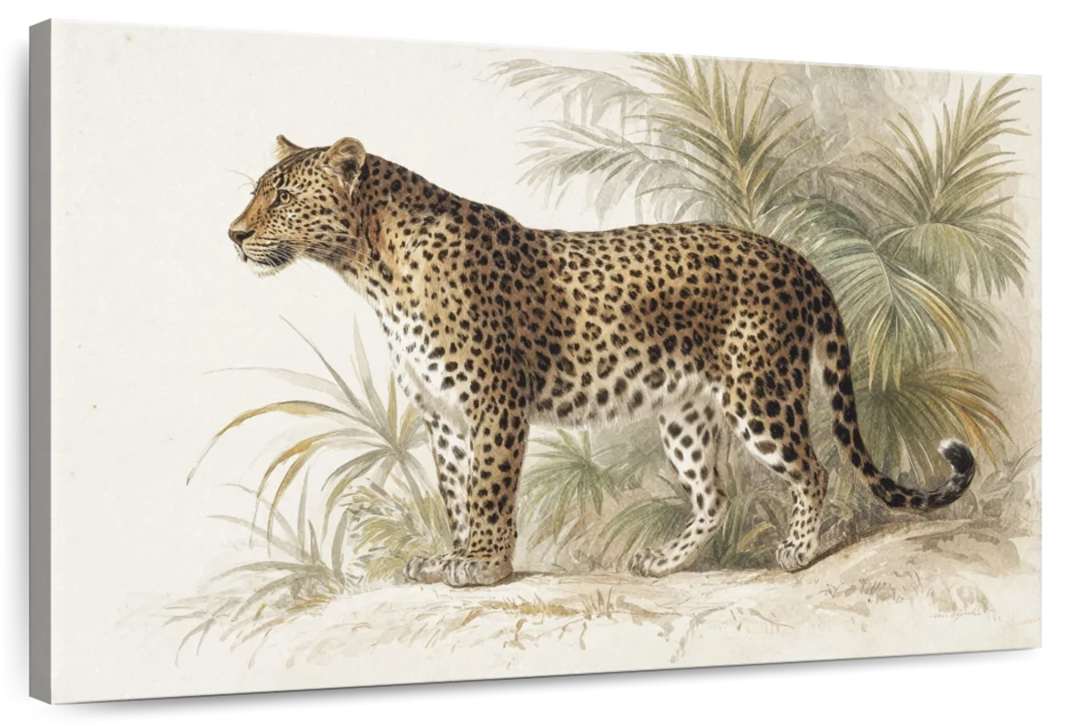 Vintage Leopard Print Wall Art