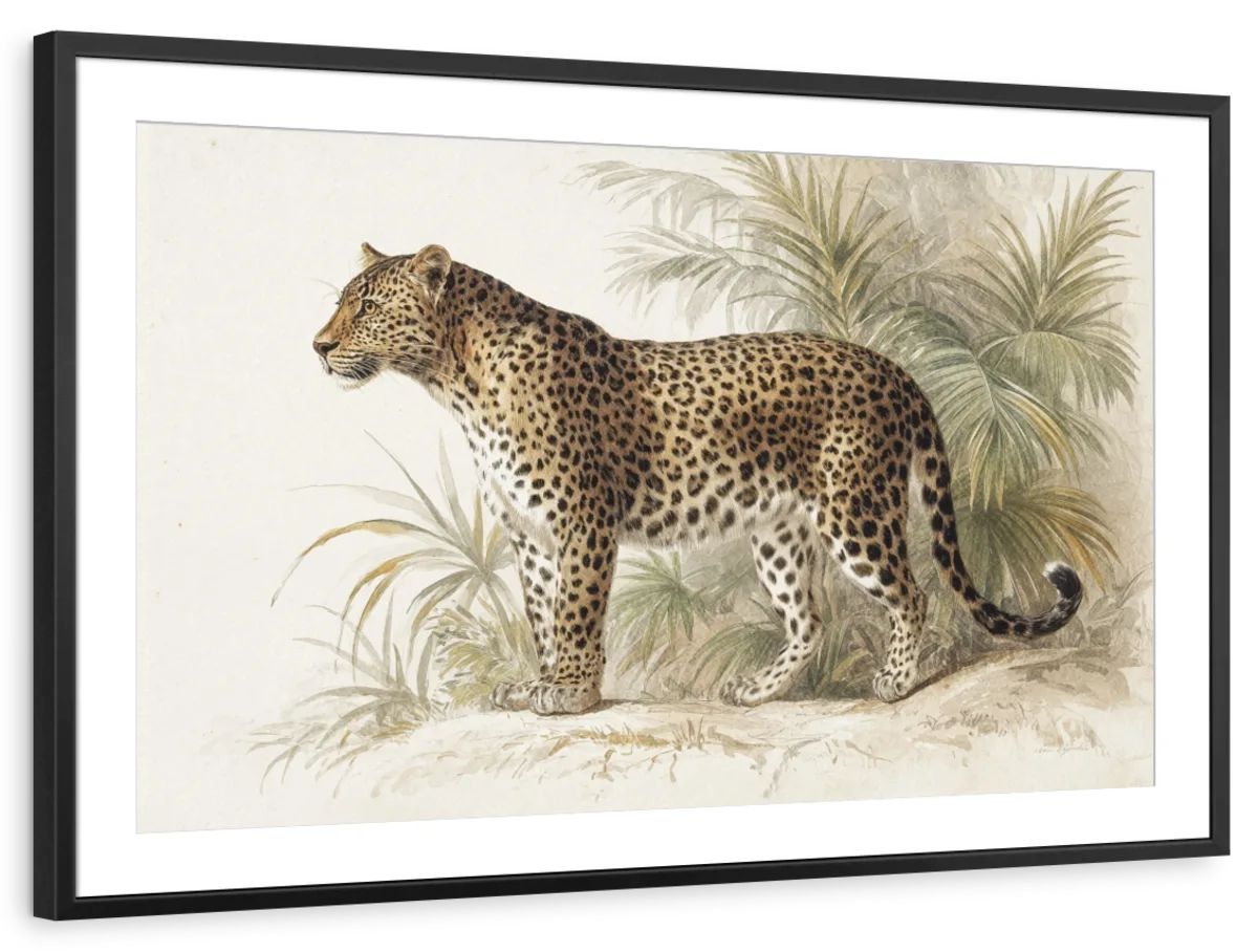 Vintage Leopard Print Wall Art - Image 14