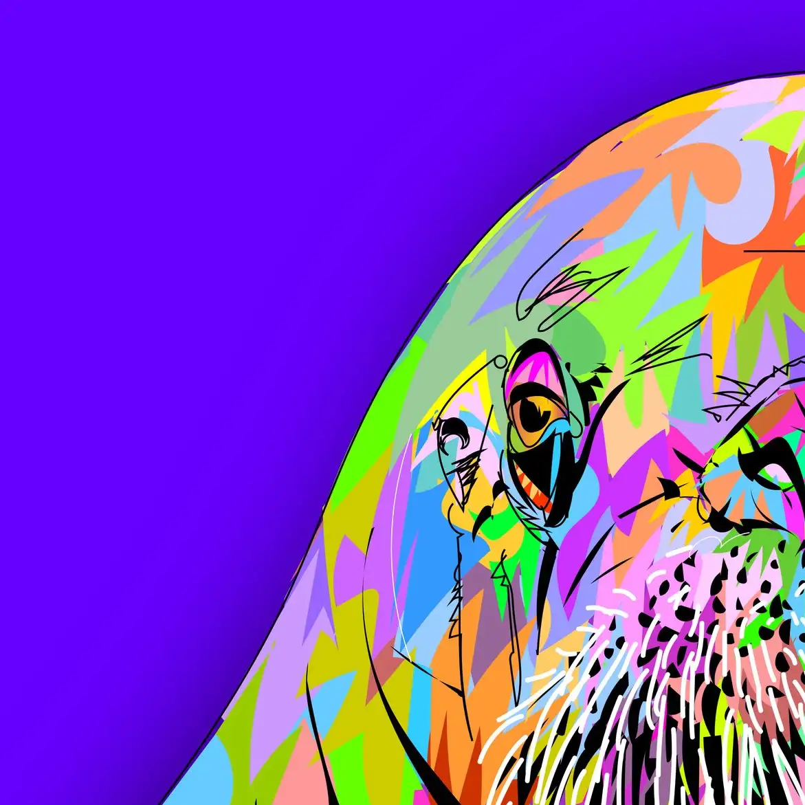 Walrus Wall Art - Image 14