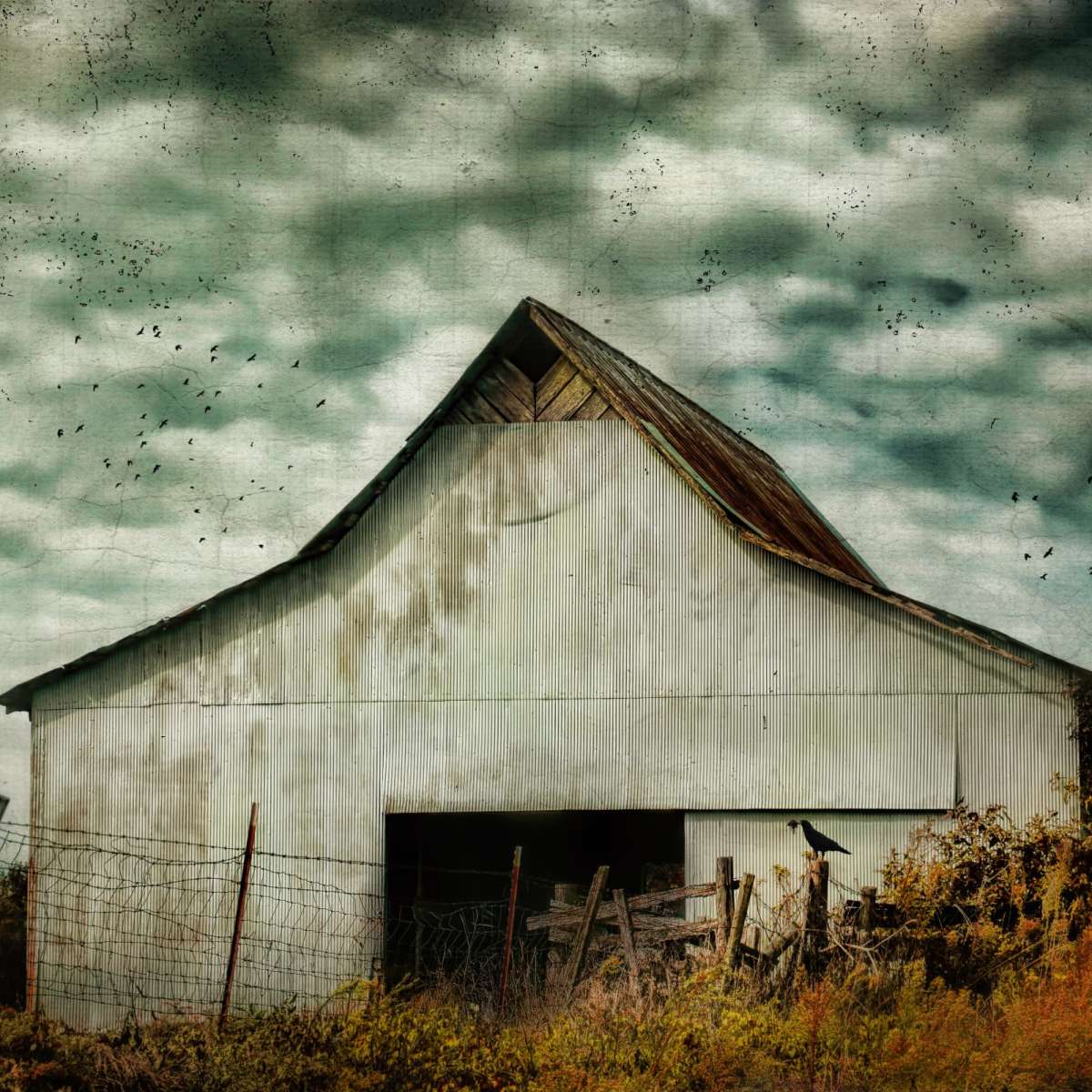 Where The Crows Roost In Autumn Wall Art - Image 20