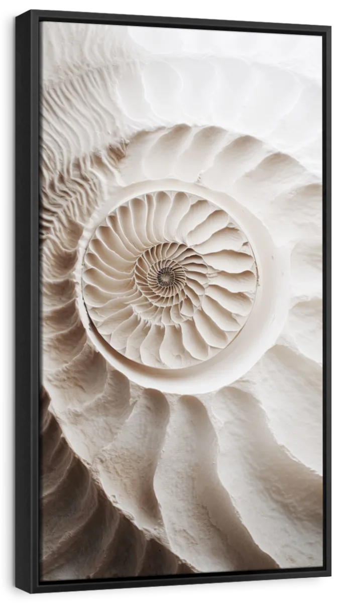 White Ammonite Wall Art - Image 9