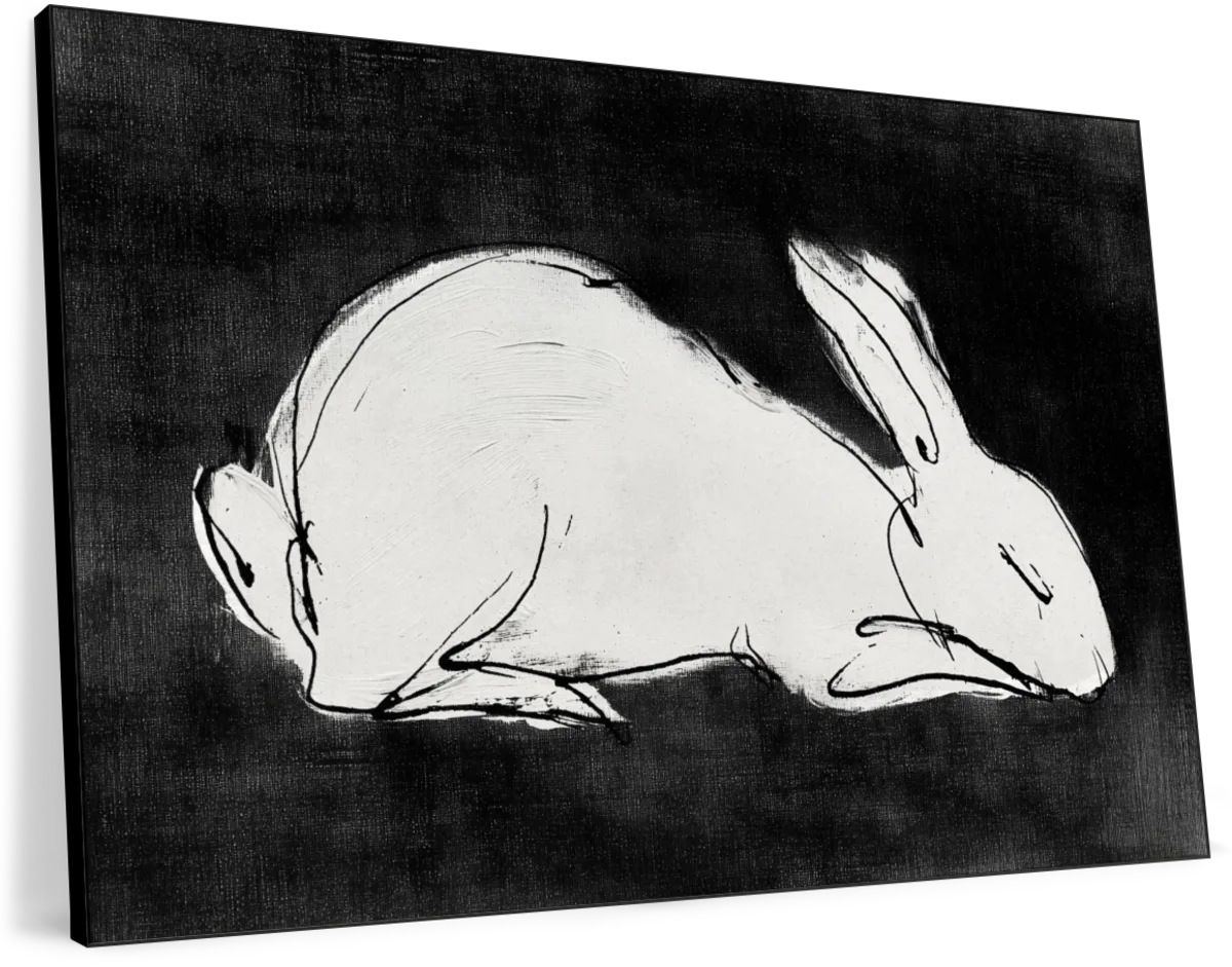 White Rabbit on Black Wall Art - Image 15