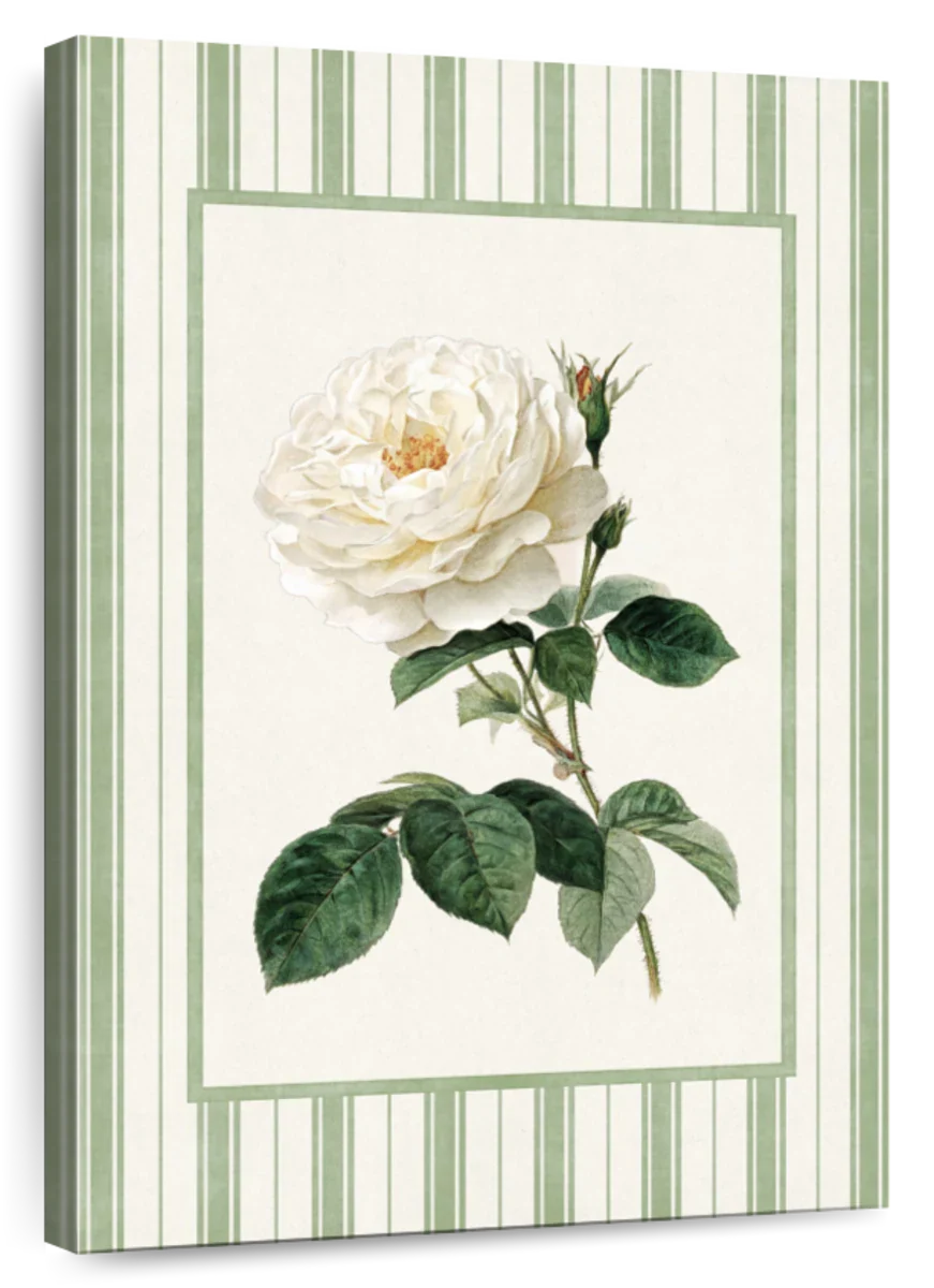 White Rose Print Wall Art