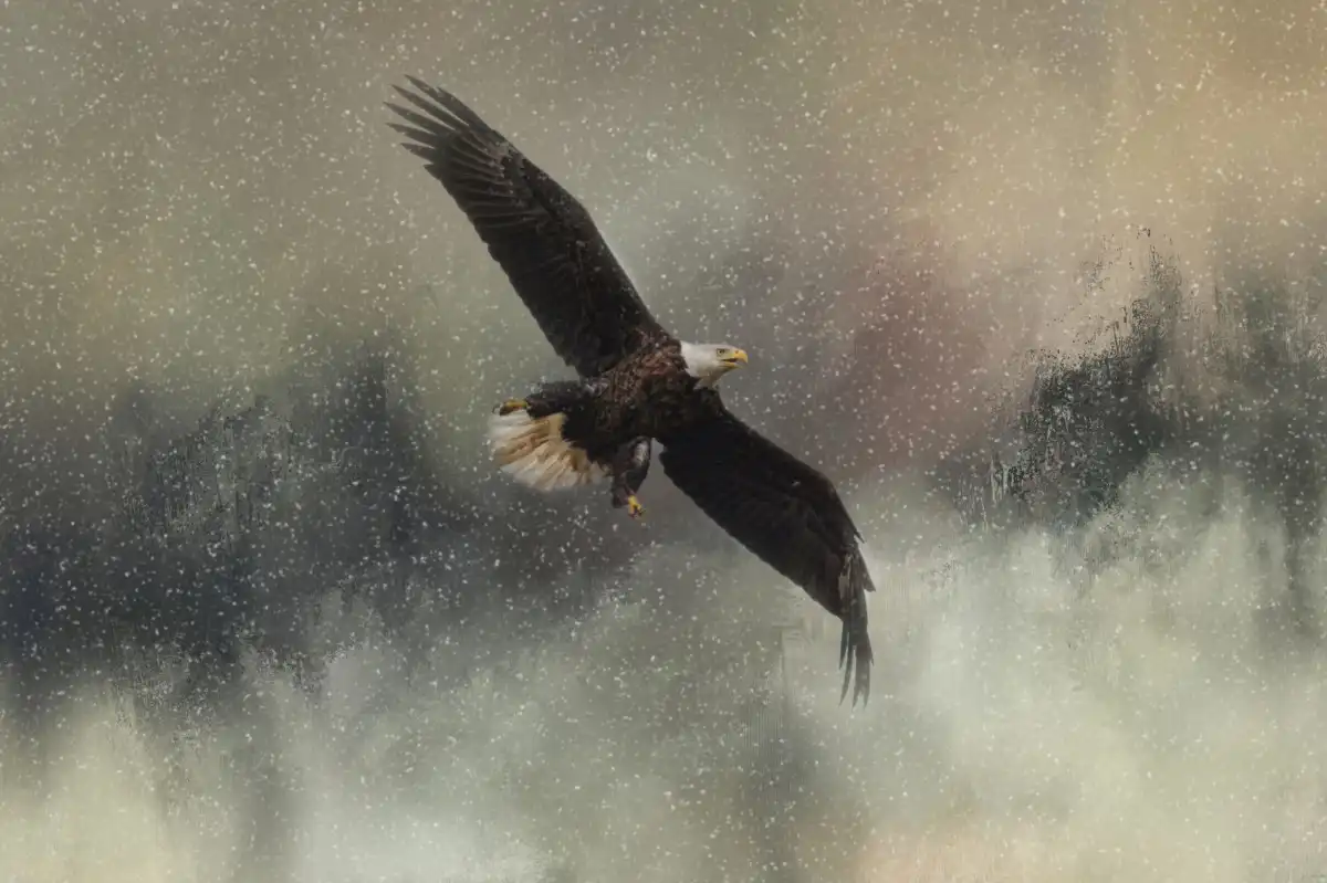 Winter Flight Wall Art - Image 9