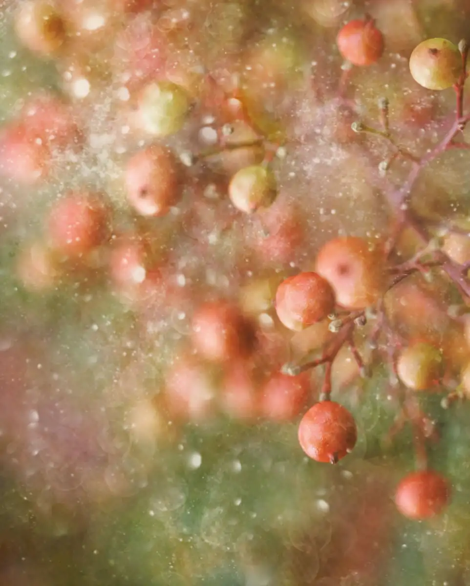 Winter-Time Bokeh Wall Art - Image 8