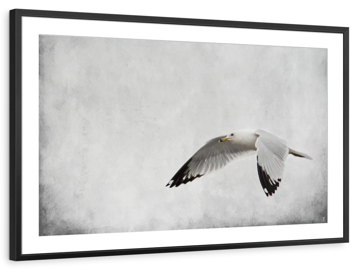 Winters Return Wall Art - Image 7