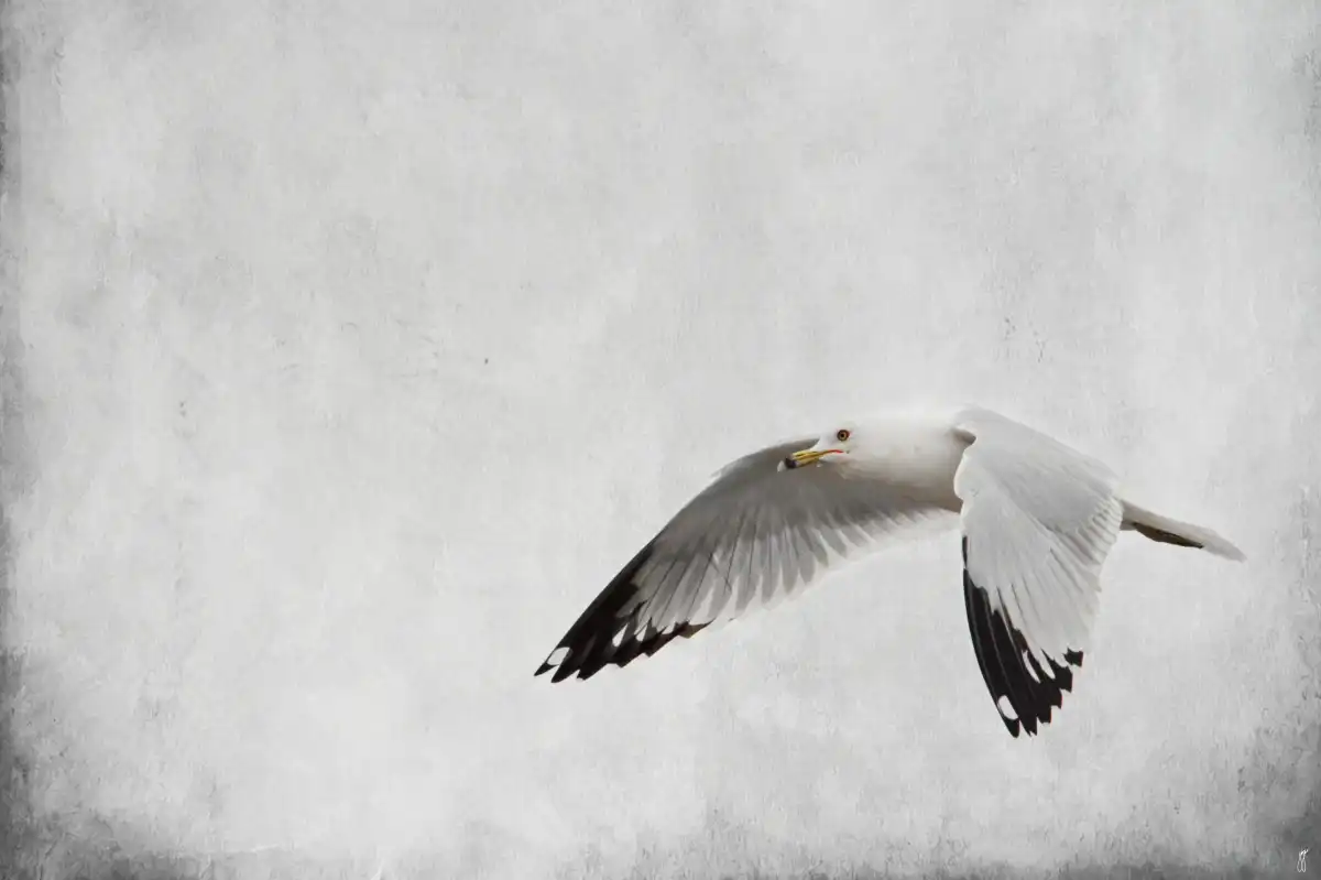 Winters Return Wall Art - Image 9